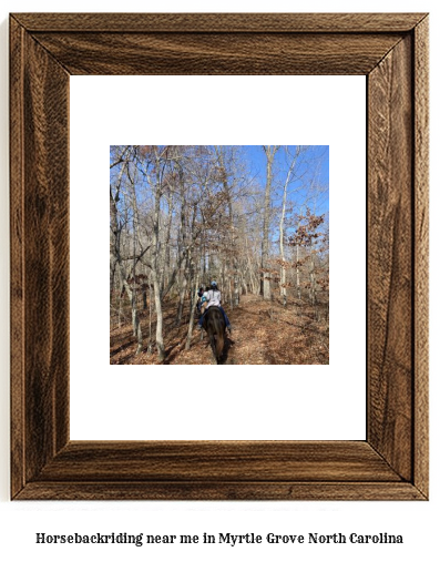 horseback riding near me in Myrtle Grove, North Carolina